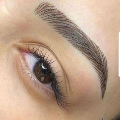 Eyebrows Goals, Ombre Eyebrows, Bentuk Alis, Eyebrow Design, Arched Eyebrows, Beautiful Eyebrows, Eyebrow Makeup Tips