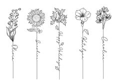 six different types of flowers are shown in black and white, with the names of each flower