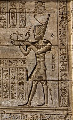 an ancient egyptian relief depicting the god horus