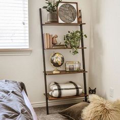 a room with a bed, bookshelf and plants on the shelves in it