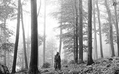 a man standing in the middle of a forest on a foggy day with trees