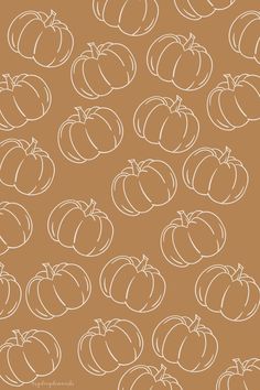 a bunch of pumpkins sitting on top of a brown surface with white lines in the middle