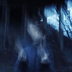 a blurry image of a person walking in the woods at night with trees behind them