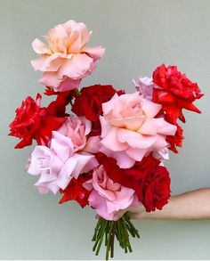 a bouquet of pink and red flowers in someone's hand