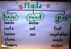 a white board with words and pictures on it that say plants have seeds, water, fruit, vegetables, and flowers