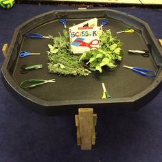 a table with scissors, greens and other things on it in the shape of a pool