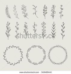 set of hand drawn floral design elements, wreaths and frames for your text or image