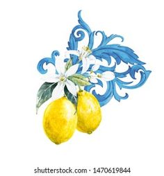 two lemons with flowers and leaves painted in watercolor on white paper, isolated background