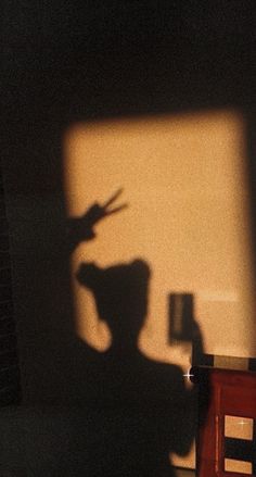 the shadow of a person's arm and leg on a chair in front of a wall