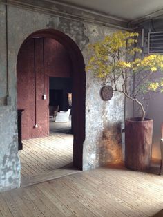 a room that has some plants in pots on the floor and an open door to another room