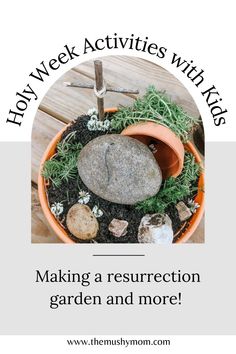 a potted plant sitting on top of a wooden table next to rocks and grass