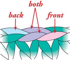 an image of the back and front of a flower with arrows pointing in different directions