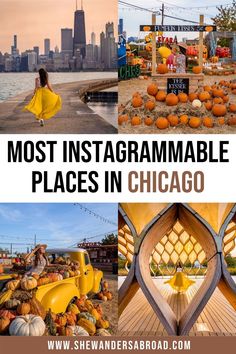 the most instagrammable places in chicago, including pumpkins and other things to see