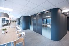 an empty conference room with blue walls and white chairs in the foreground is a long table that has a potted plant on it