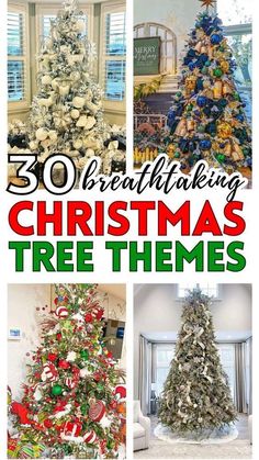 Multi Colored Tree Decorations, Themes Christmas Tree, Formal Christmas Tree Ideas, Santa Trees Theme, Christmas Tree Themes Colors Red Green, Cool Christmas Trees Themes, Christmas Themed Trees, 2024 Christmas Tree Themes, Themed Christmas Trees Ideas