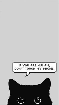 a black cat with a speech bubble saying if you are human, don't touch my phone