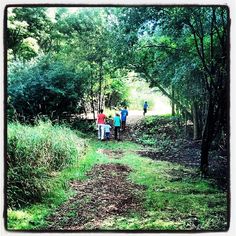 several people walking down a path in the woods