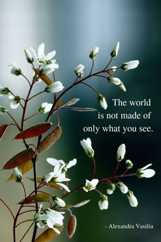 the world is not made of only what you see - alexandria vasiti quote