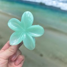 Add a touch of tropical beauty to your hair with this stunning Hawaiian Hibiscus Flower Hair Clip! Handcrafted with vibrant colors and exotic florals, this hair accessory is perfect for adding a pop of color to any outfit. Whether you're heading to a luau, beach party, or simply want to embrace island vibes, this Hawaiian Hair Clip is sure to make a statement. Make a splash with your style and let your hair bloom with this lovely accessory!  length: 3.1" x 2.8" Green Color Hair, Hawaiian Hair, Tropical Hair, Hawaiian Hairstyles, Birthday Care Packages, Tropical Beauty, Chocolate Easter Bunny, Hawaiian Hibiscus, Blue Green Color