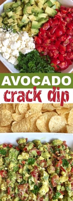 If you haven't tried this popular avocado dip recipe yet - you're missing out! Listotic's Easy Avocado Crack Dip Recipe is so good you won't be able to stop eating it. Great for parties, tailgates, Cinco de Mayo celebrations, summertime neighborhood block parties, Friday happy hour or just watching TV on taco Tuesday! #diprecipe #TacoTuesday #cincodemayo #dip #avocadodip #avocadocrackdip #bestdip #bestrecipe #favoriteavaocadodip #easy #easydip Avocado Dip Recipe, Party Appetizers Easy, Party Appetizers, Avocado Recipes, Dip Recipe, Dip Recipes, Yummy Appetizers, Appetizers For Party, Appetizers Easy