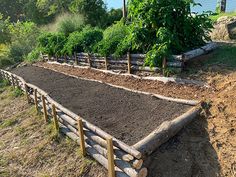 there are many different types of garden beds in this yard, and one is made out of wood logs