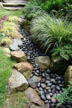 a garden with rocks and plants in it