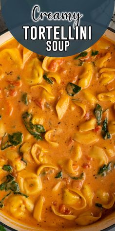 creamy tortellini soup with spinach and cheese