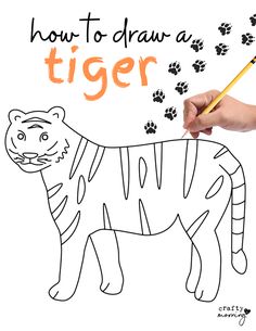 a hand holding a pencil drawing a tiger