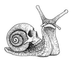 a drawing of a snail with its head in the shell