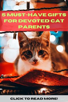 a cat sitting in a basket with the words 5 must have gifts for devoted cat parents click to read more