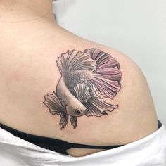 Betta Fish Tattoo, Betta fish tattoo design, women's Betta fish tattoo, Betta fish tattoo designs, simple Betta fish tattoo, watercolor betta fish tattoo, Betta fish tattoo small, black Betta fish tattoo, small Betta fish tattoo, realistic betta fish tattoo, betta fish tattoo simple, betta fish tattoo drawing, betta fish tattoo ideas, red betta fish tattoo, geometric betta fish tattoo, Betta fish tattoo traditional,Female betta fish Tattoo,Betta fish tattoo outline,Siamese fighting fish Tattoo Buoy Tattoo, Tattoo Shirts, Fish Tattoo