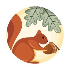 a squirrel holding an acorn in its paws