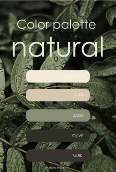 the color palette for natural is shown here