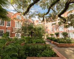 an outdoor courtyard with trees and plants in the foreground, surrounded by red brick buildings