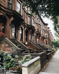 a row of brownstone townhouses with stone steps and flowers in the foreground