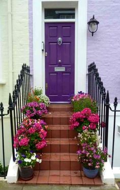 purple front door and steps with potted flowers