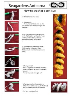 instructions to crochet the seahorse's aoteaoa how to crochet