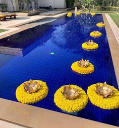 an outdoor swimming pool with yellow flowers in the middle