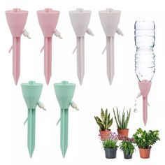 there are many different types of watering tools in the photo, including water bottles and plants