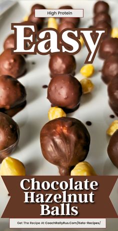 Need a satisfying snack on your keto journey? These Keto Chocolate Hazelnut Bonbons are high-protein, low-carb, and packed with healthy fats. With the rich taste of hazelnuts wrapped in creamy cottage cheese and coated in chocolate, they are a fantastic choice to curb sweet cravings. Low Carb Chocolate Desserts, Keto Protein Balls, Keto Energy Balls, Cottage Cheese Dessert Recipes, Cottage Cheese Recipes Healthy, Cottage Cheese Desserts, Cottage Cheese Breakfast, Keto Protein, Cheese Brands