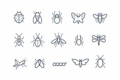 different types of bugs and insects in line art style on white background stock photo - premium royalty