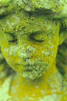 a statue covered in green moss with its eyes closed