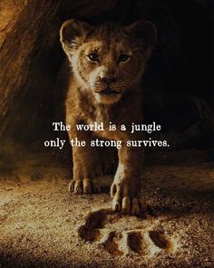 the lion cub is standing in front of a rock with his paw prints on it