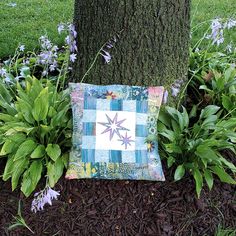 Eight Point Star Pillow Easy Quilt Tutorials, Eight Point Star, Pillow Quilt, Applique Pillow, Quilted Items, Free Quilt Tutorials, Star Applique, Star Pillow, Star Light Star Bright