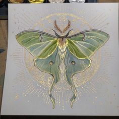 a green and yellow moth sitting on top of a piece of paper