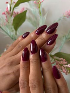 Plum Red Nails, Cherry Almond Nails, Deep Red Nails, Plum Nails, Maroon Nails, October Nails, Cherry Almond