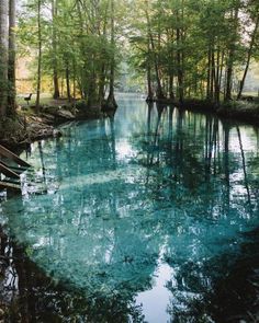 a river that is surrounded by trees and blue water in the middle of it's banks