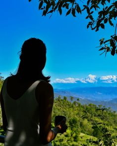 a woman standing on top of a lush green hillside next to a forest filled with trees