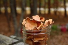 a jar filled with dried mushrooms sitting on top of a wooden table next to trees