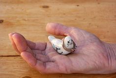 a person's hand holding a tiny white bird ring on top of a wooden table